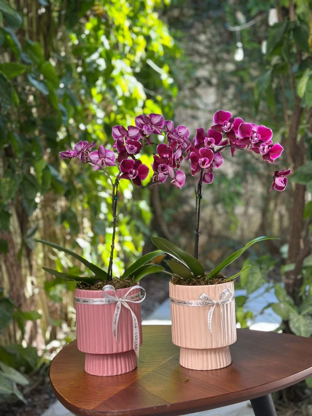Orquídea