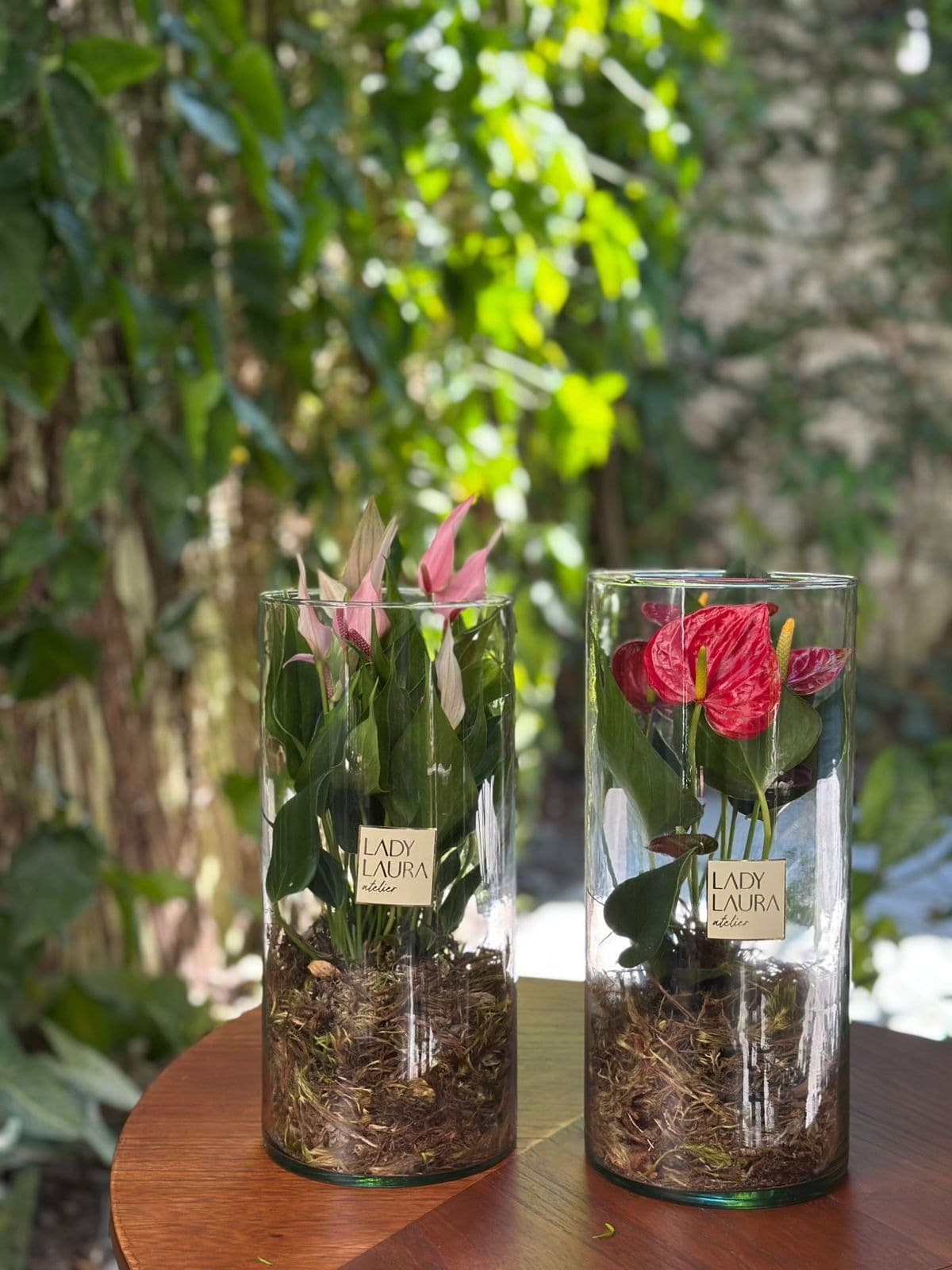 Terrário de Botânicos