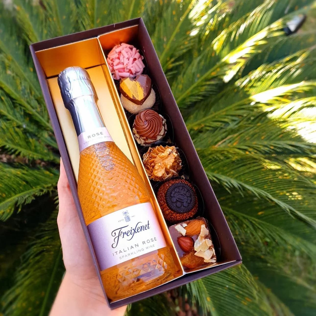 Kit Freixenet