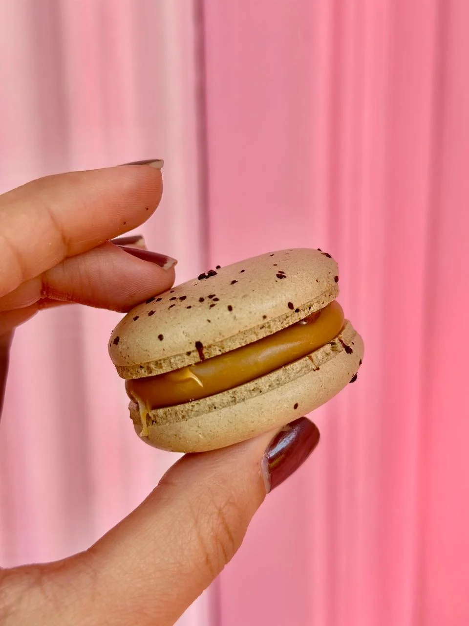 Macarons 4